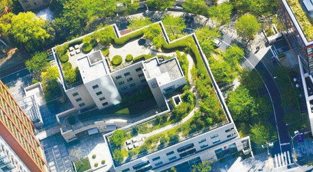 郑州市郑东新区如意湖辖区屋顶绿化建设项目
