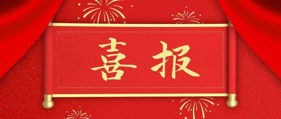 喜报丨速看！恒信咨询工程造价鉴定项目入选2024年典型案例
